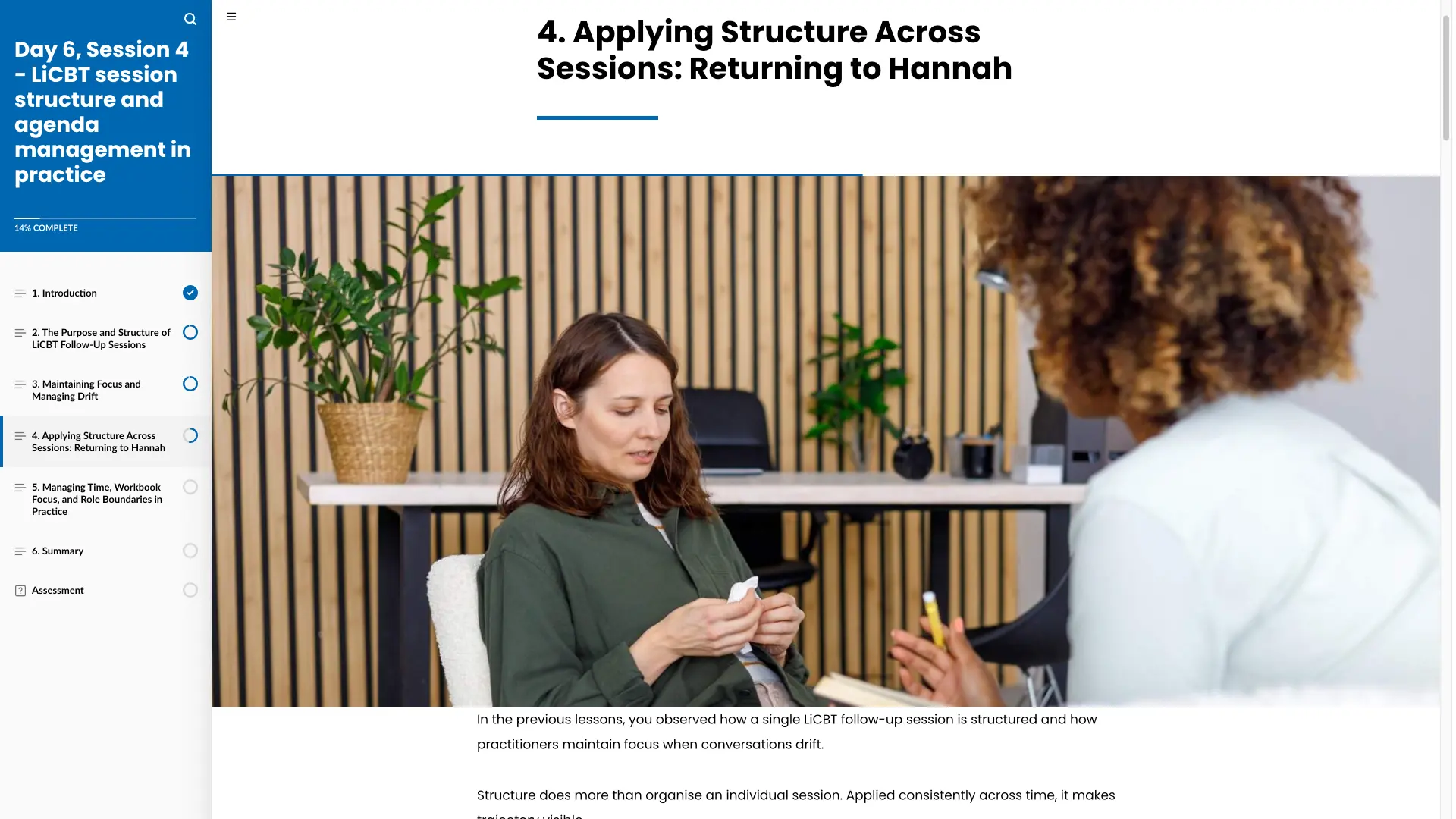 Rise module: Day 6, Session 4 – Applying Structure Across Sessions: Returning to Hannah
